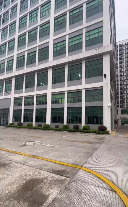 大朗镇新出工业园一楼2000平带豪华精装办公室厂房出租