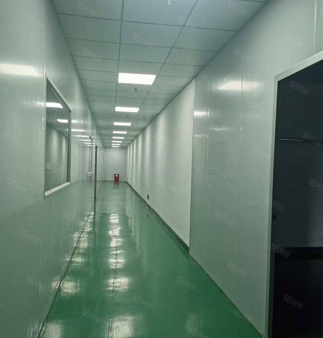 大朗全新带装修厂房出租，带有6个办公室，可随时入驻