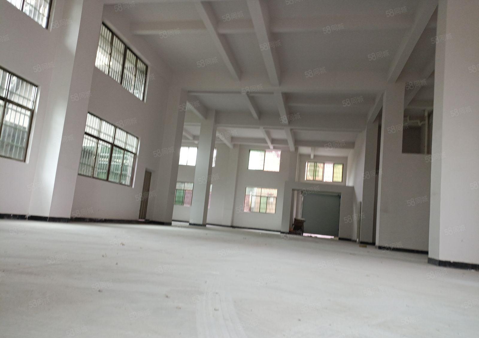 原房东个人厂房直租首层7米高