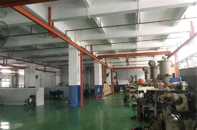 现成行车 大朗石厦标准一楼800平方厂房出租带办公宿舍