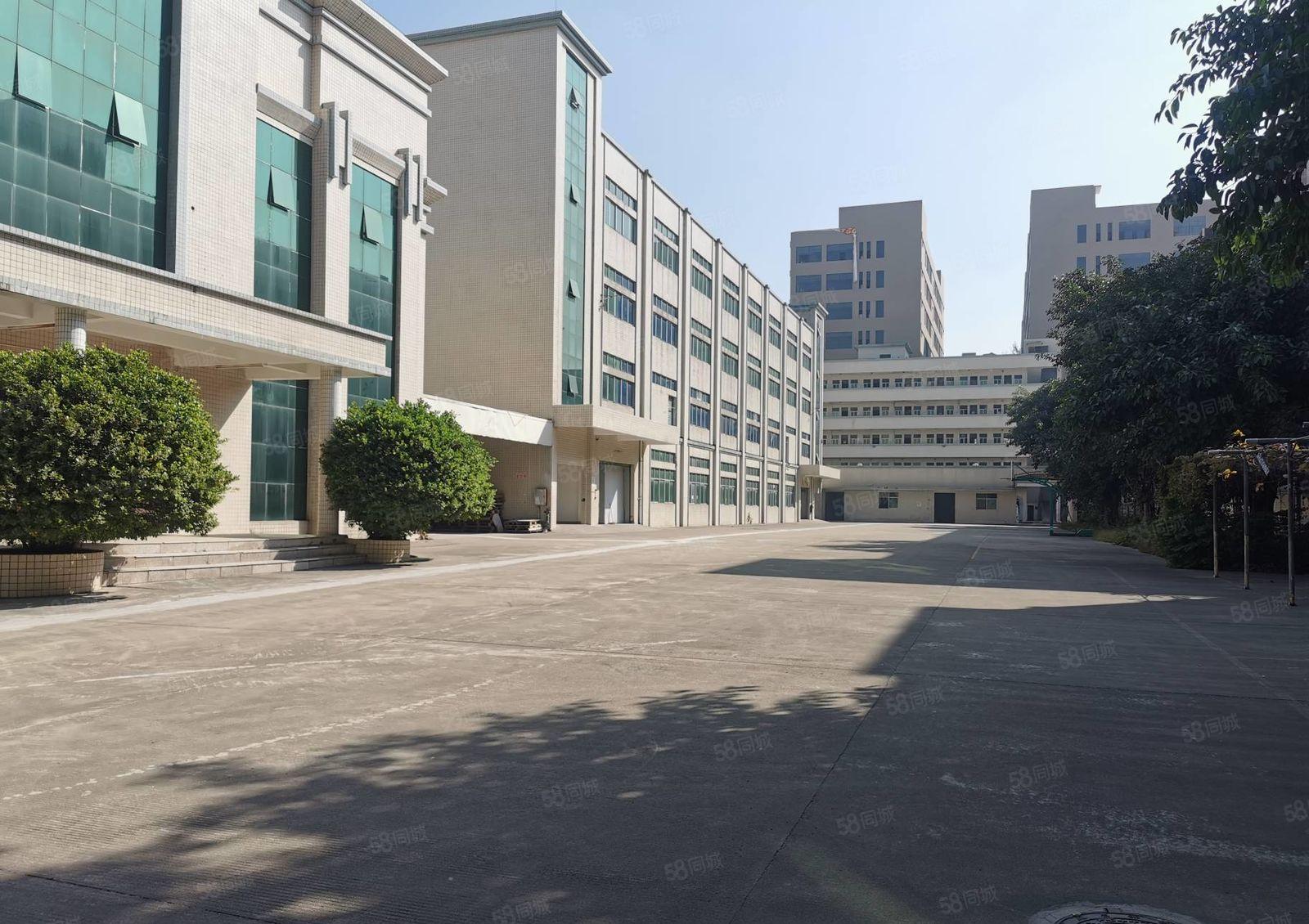 大朗11000平方原房东独院厂房急租 价格便宜