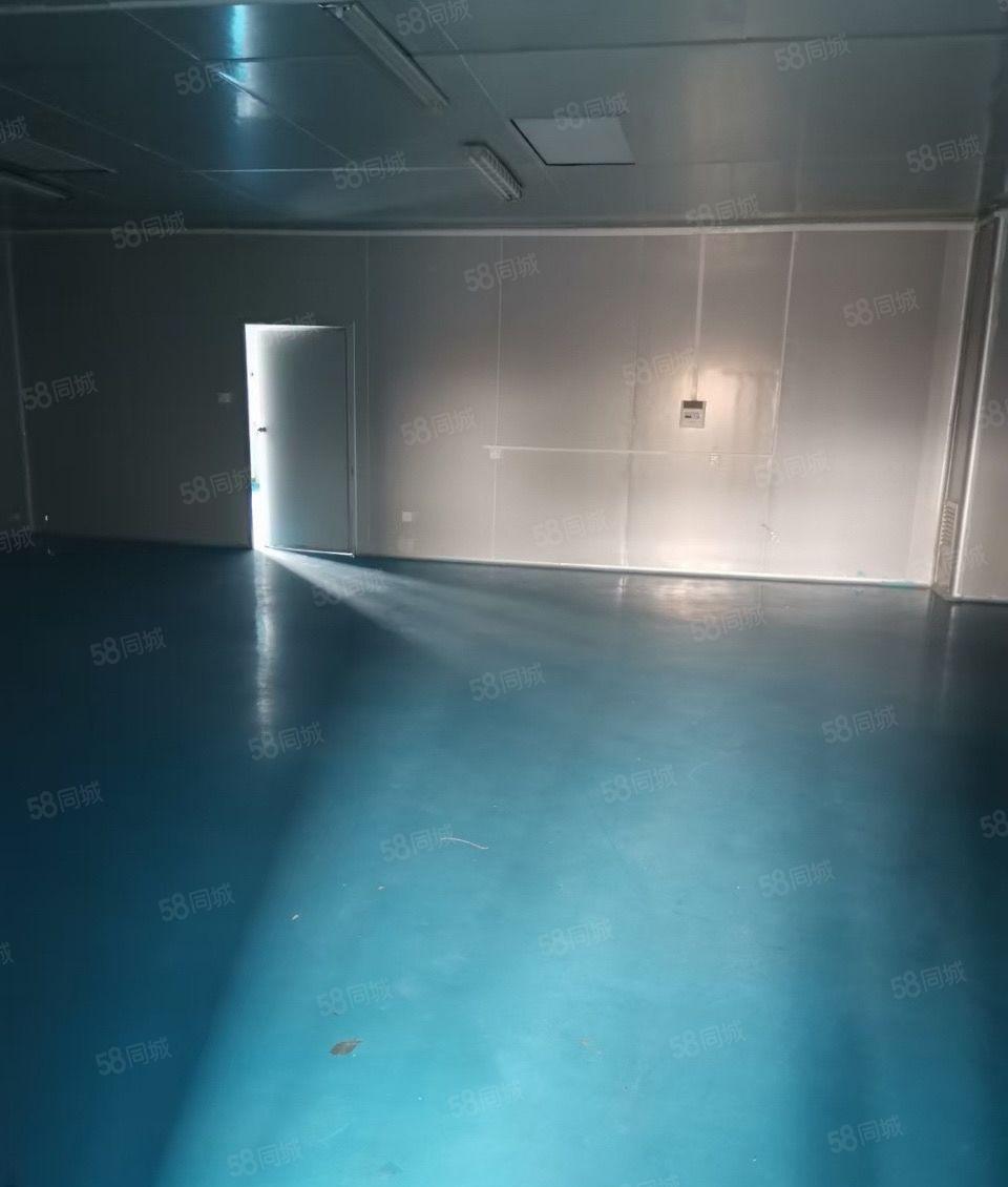 大朗无尘车间1700平现成装修水电地坪漆厂房出租可办环评