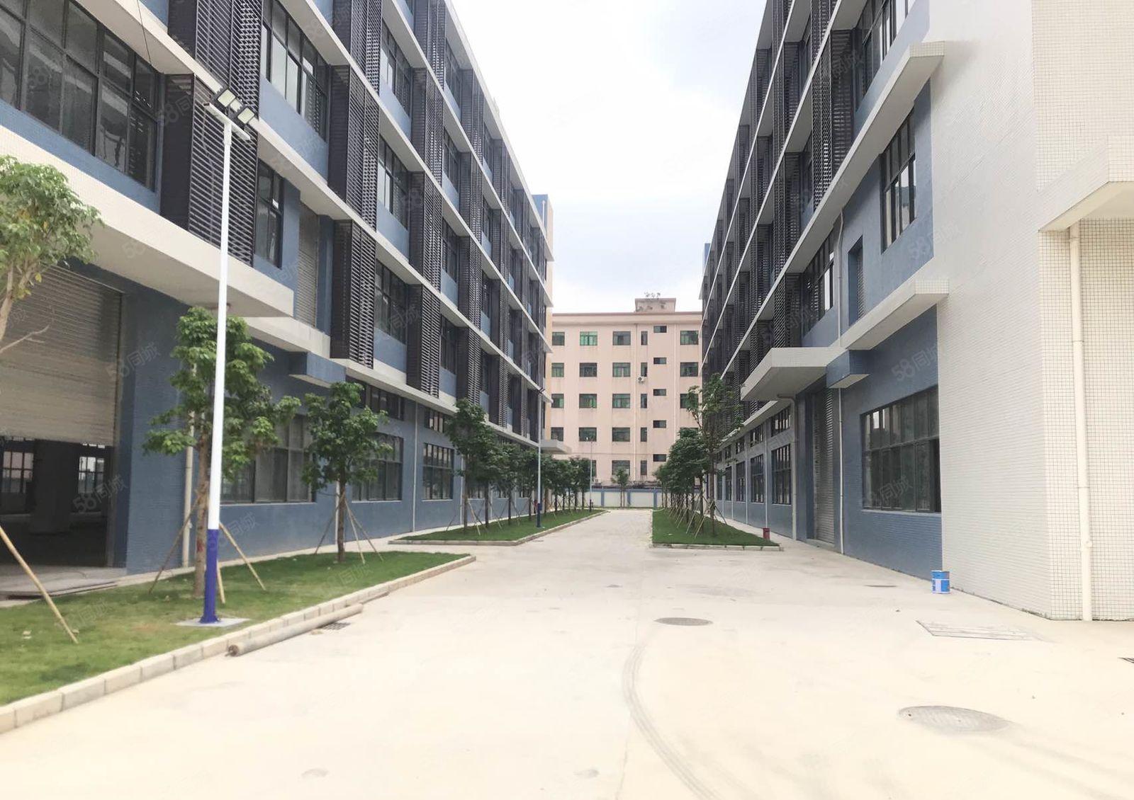 大朗新出原房东4万平花园式独门独院厂房出租，厂房形象大气，