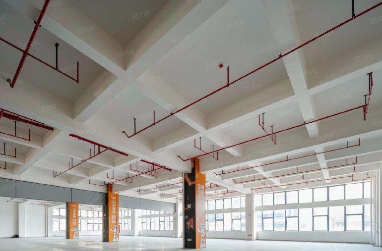 无公摊开发商直租全新厂房可签十年长约