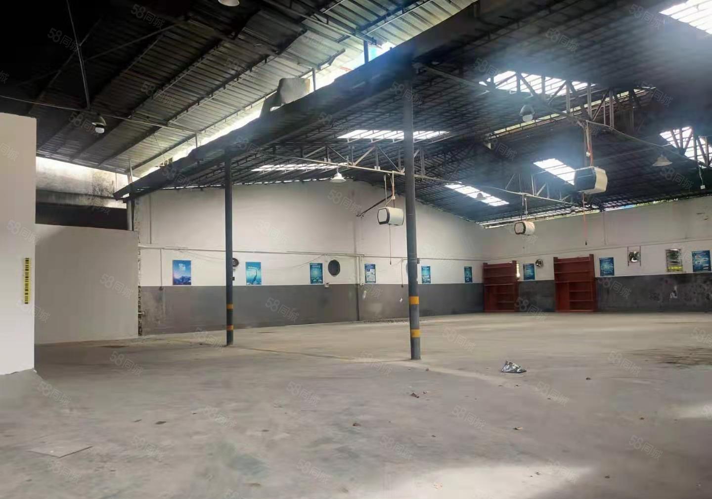 大朗原房东钢构500方，高约4.8米价格实惠无公摊，主路边