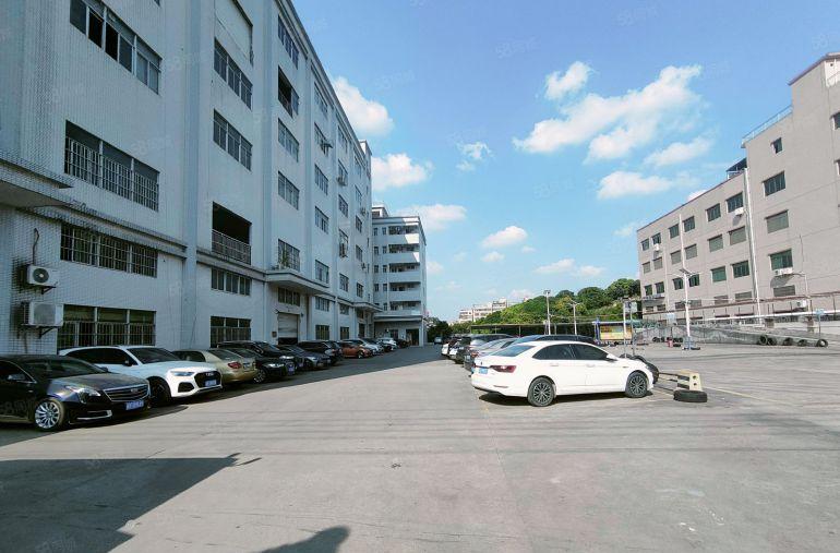 大朗原房东象山工业城分租楼上5800平 1000平起分