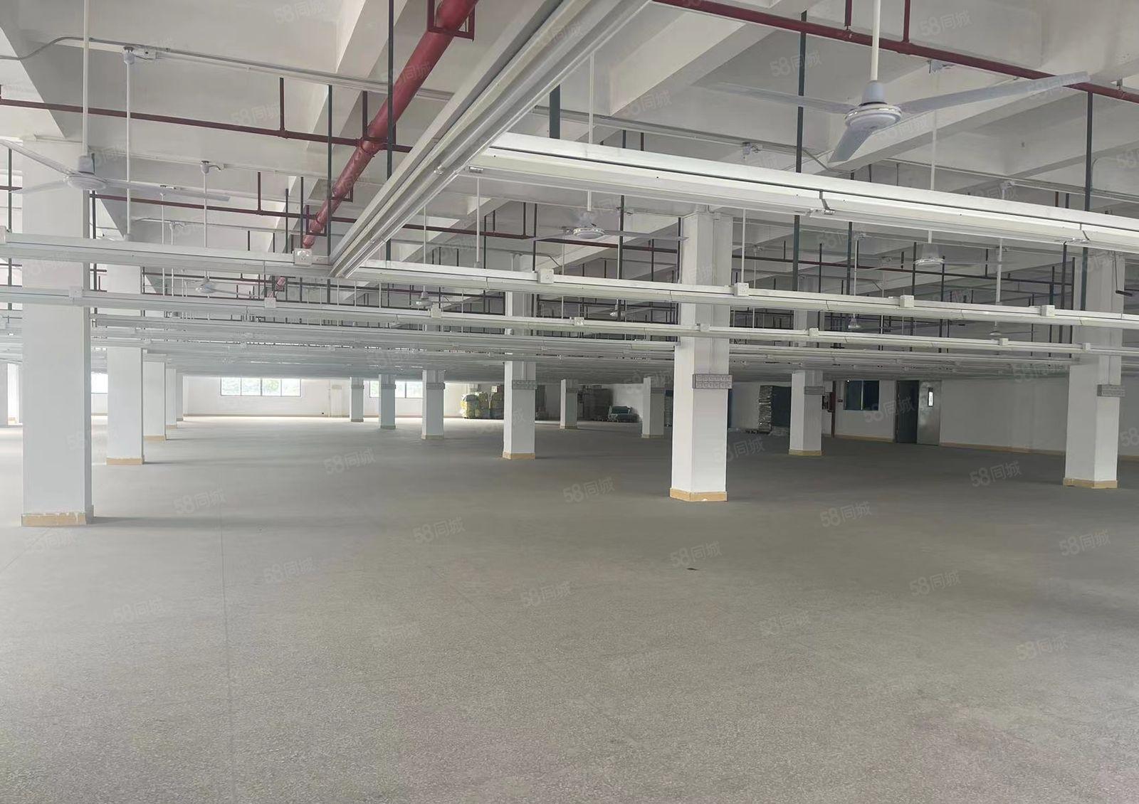 大朗镇新出花园式国有双证齐全独院厂房9500平方