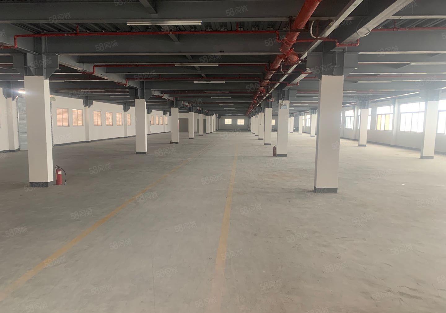 大朗，玻璃外墙！5万平方，原房东，暗盘委托。