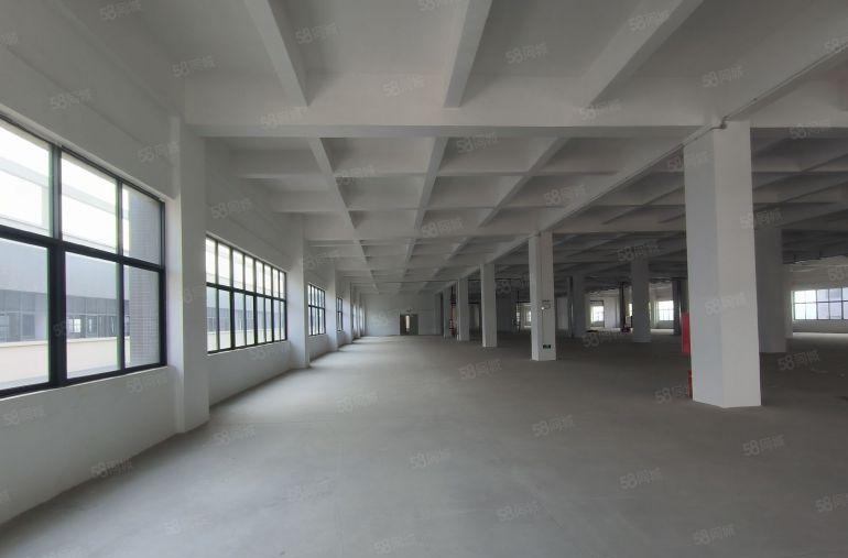 仓库出租 空地出租 厂房出租 无尘车间 租厂房 小独院