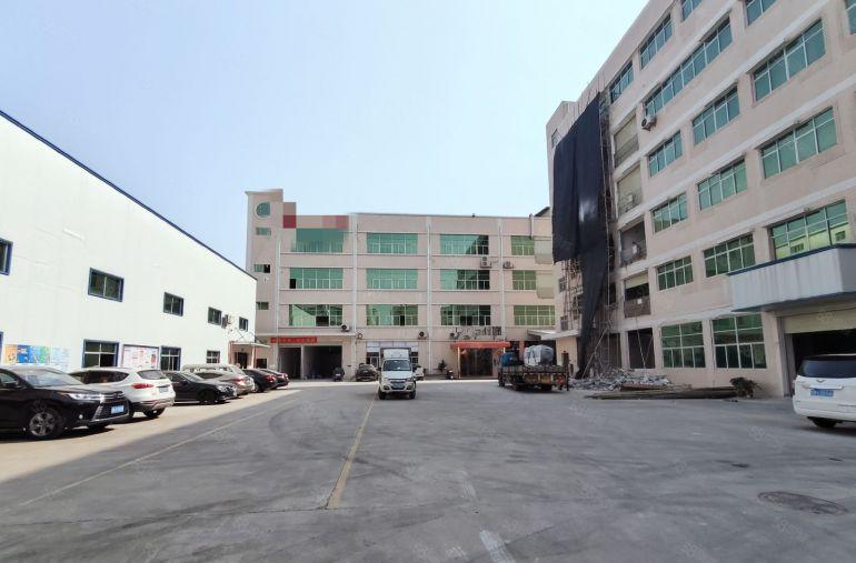 大朗佛新村现空出1200平精装修厂房，适合服装，电商电子贸易