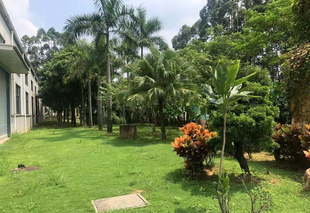 大朗，玻璃外墙！5万平方，原房东，暗盘委托。