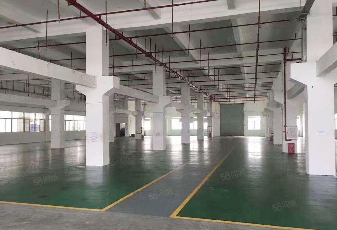 大朗镇原房东一楼整层2000平方，带牛角位，高8米。