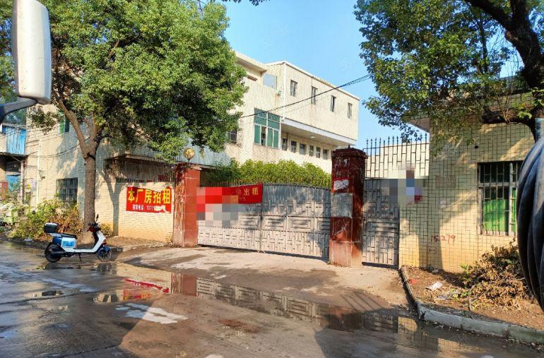 寮步单一层独院厂房,砖墙到顶滴水