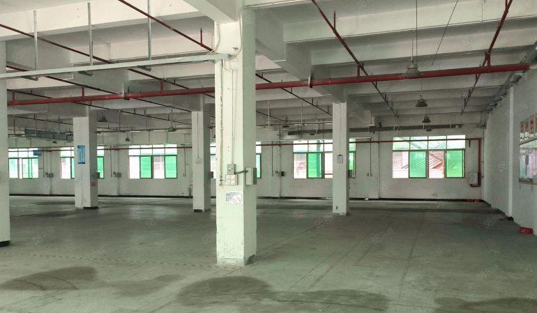 大朗 厂房出租 仓库出租 租写字楼 独门独院 小独院 大岭山