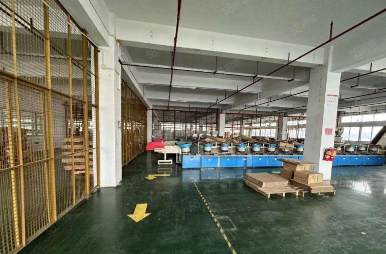 大朗独院23000平 松山湖原房东红本 四层标准实际面积出租