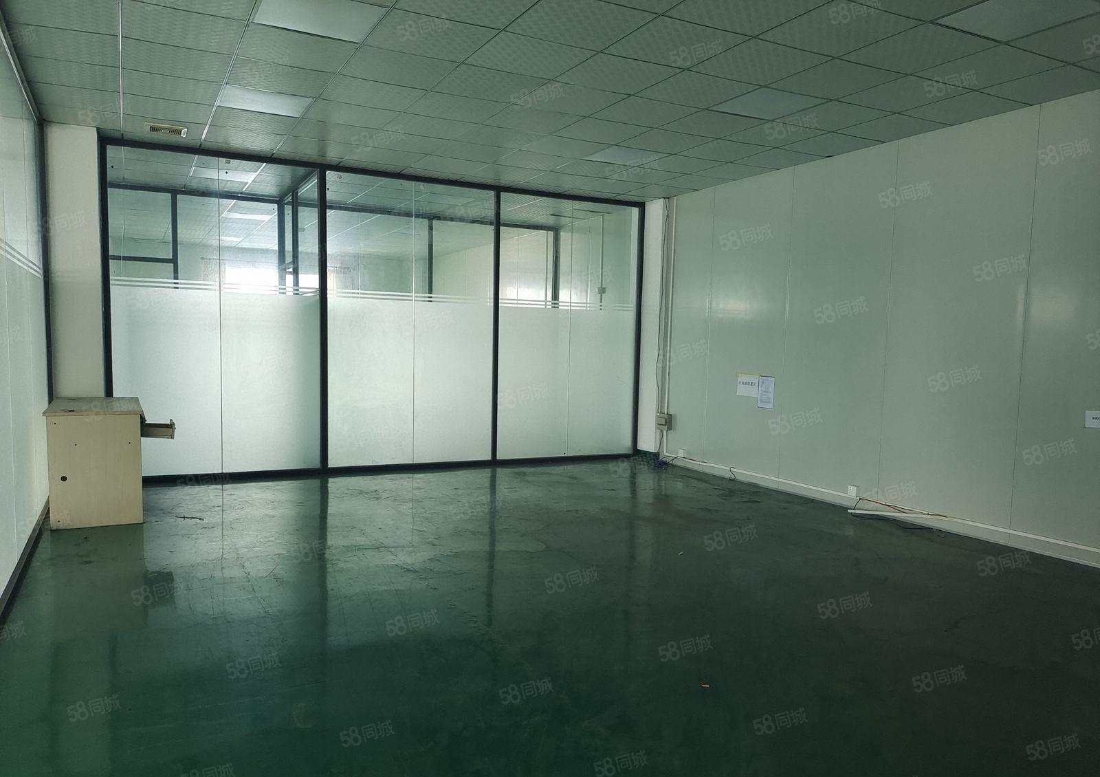 真图 无转让费 大朗新马莲新出楼上1200平米精装修厂房出租