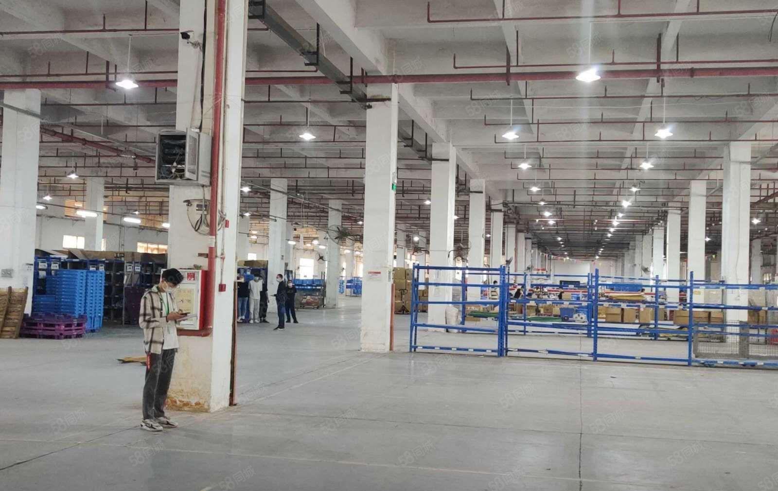 大朗镇2层红本独门独院厂房13000平方，宿舍2000平方