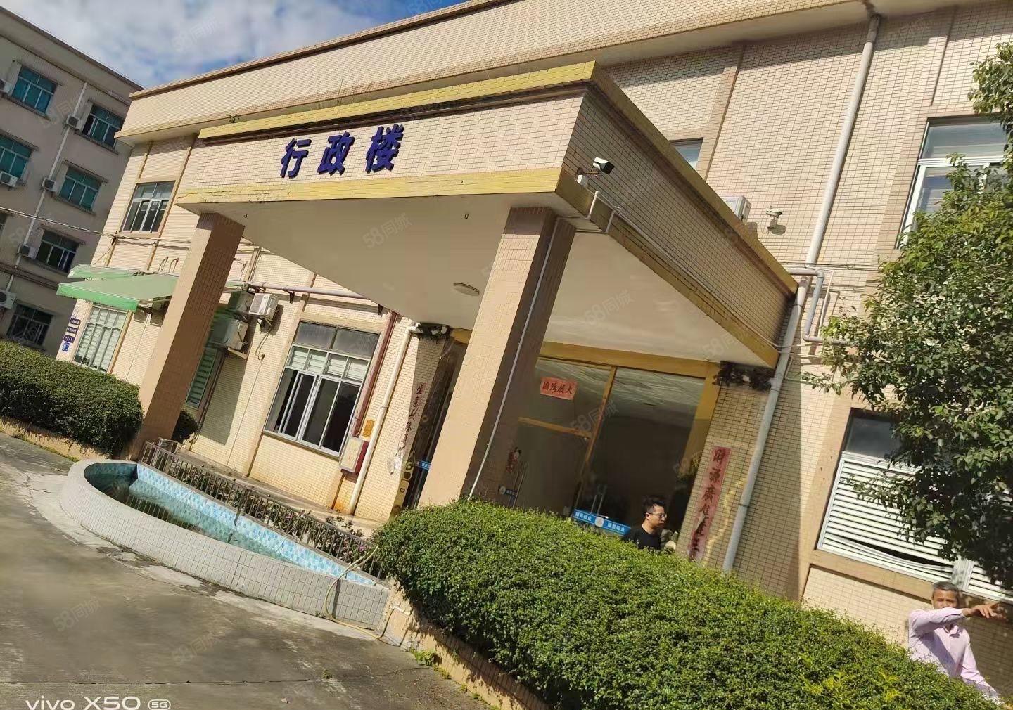 大朗新出10米钢结构独院厂房8000平