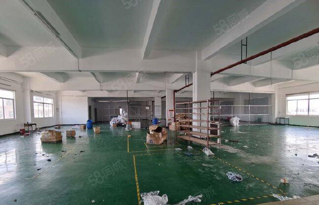 先抢先得 大朗黎贝岭独院二楼900平方厂房 9元分租