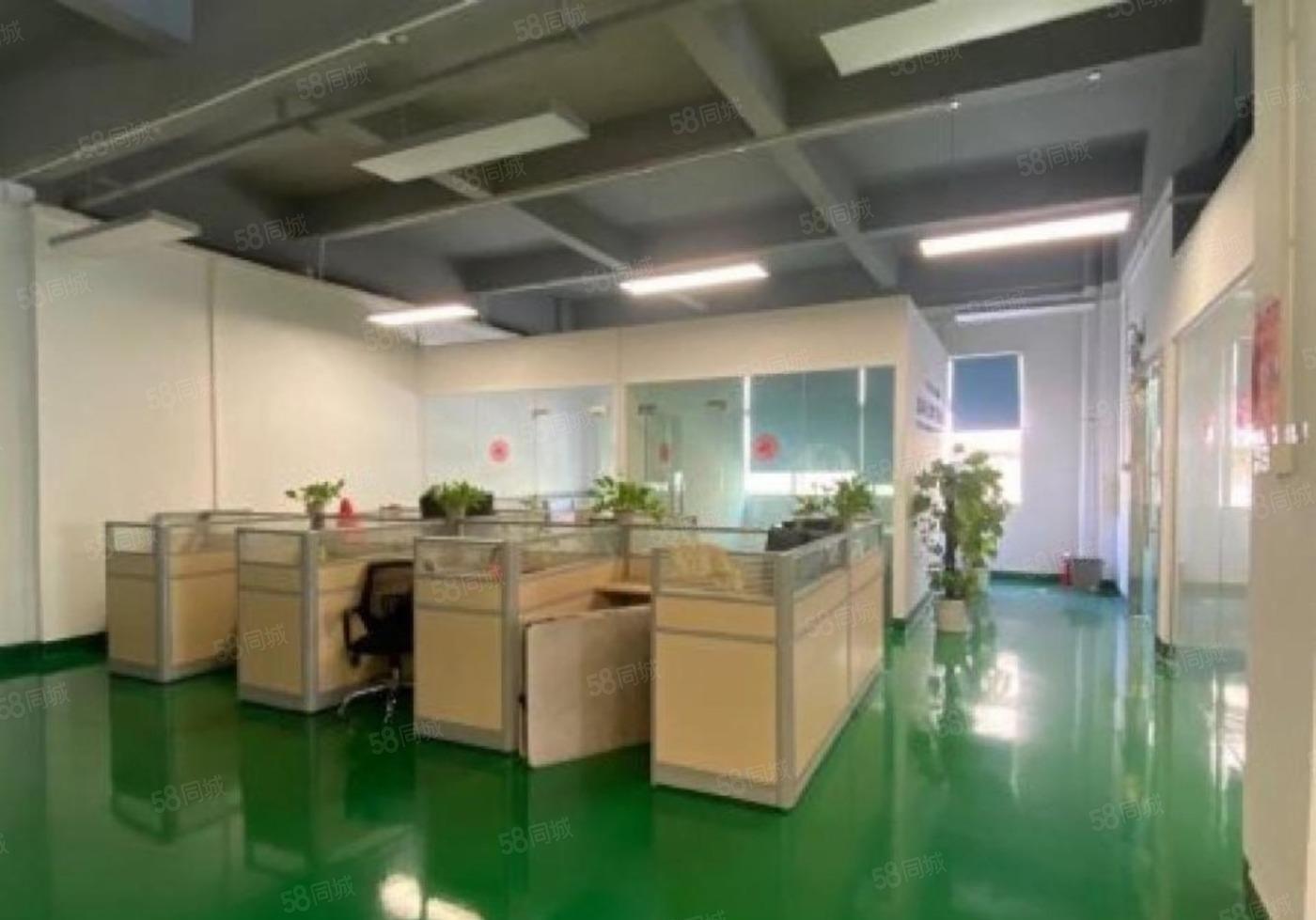 大朗原房东新出地坪漆带精装办公室厂房出租楼上850平方高5米