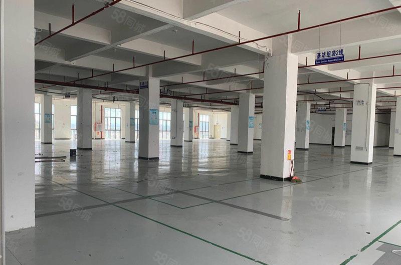 10元签合同 大朗蔡边独栋二楼600平方厂房 即租即用