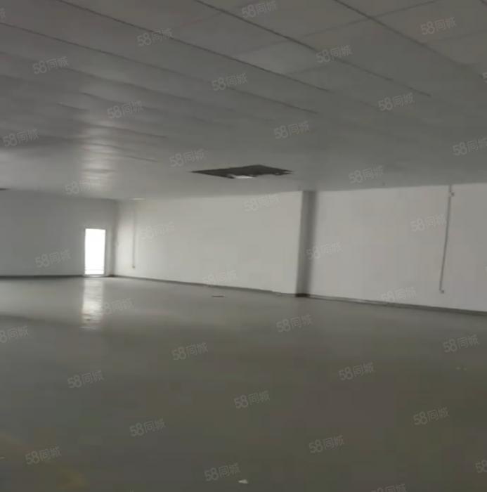 大朗S357旁楼上豪华装修700平厂房出租 超大空地