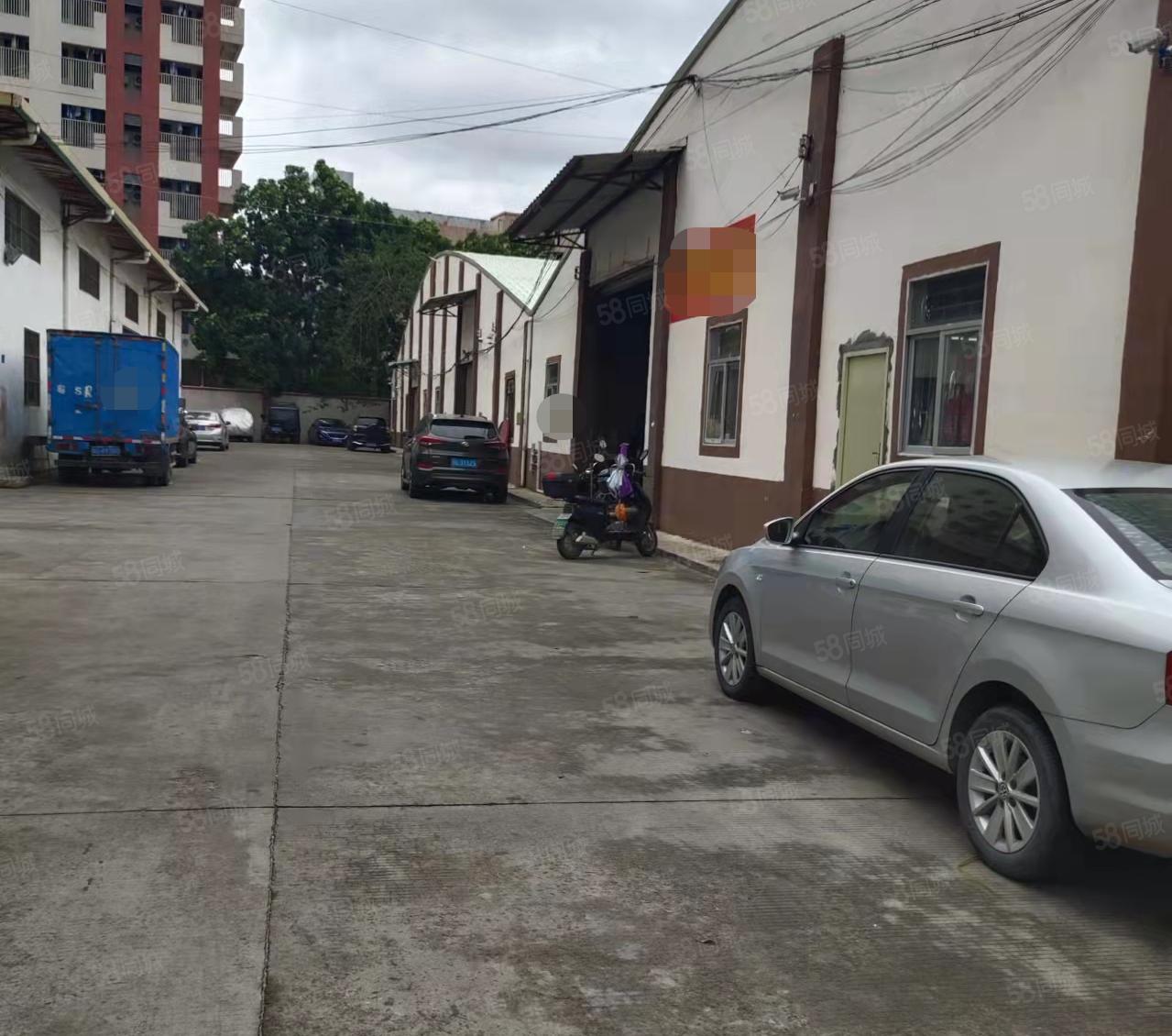 单一层仓库！大朗钢构铁皮房650平厂房出租 位置优越可做批发