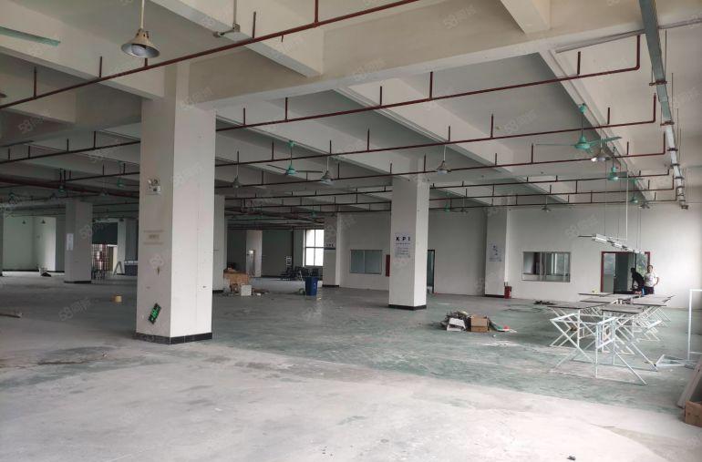 大朗新出新建厂房楼上2500平厂房出租仓库出租，有水电办公室