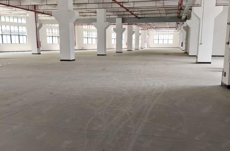 大朗全新独院厂房出租1楼7米高带牛角每层2800平方可分租