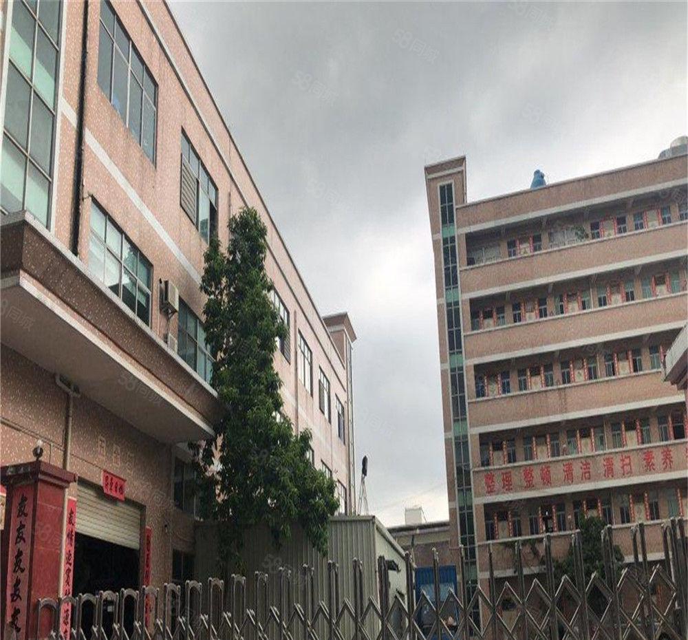 大朗工业园区带牛角厂房实业户分租一楼790方，高7米可进大车