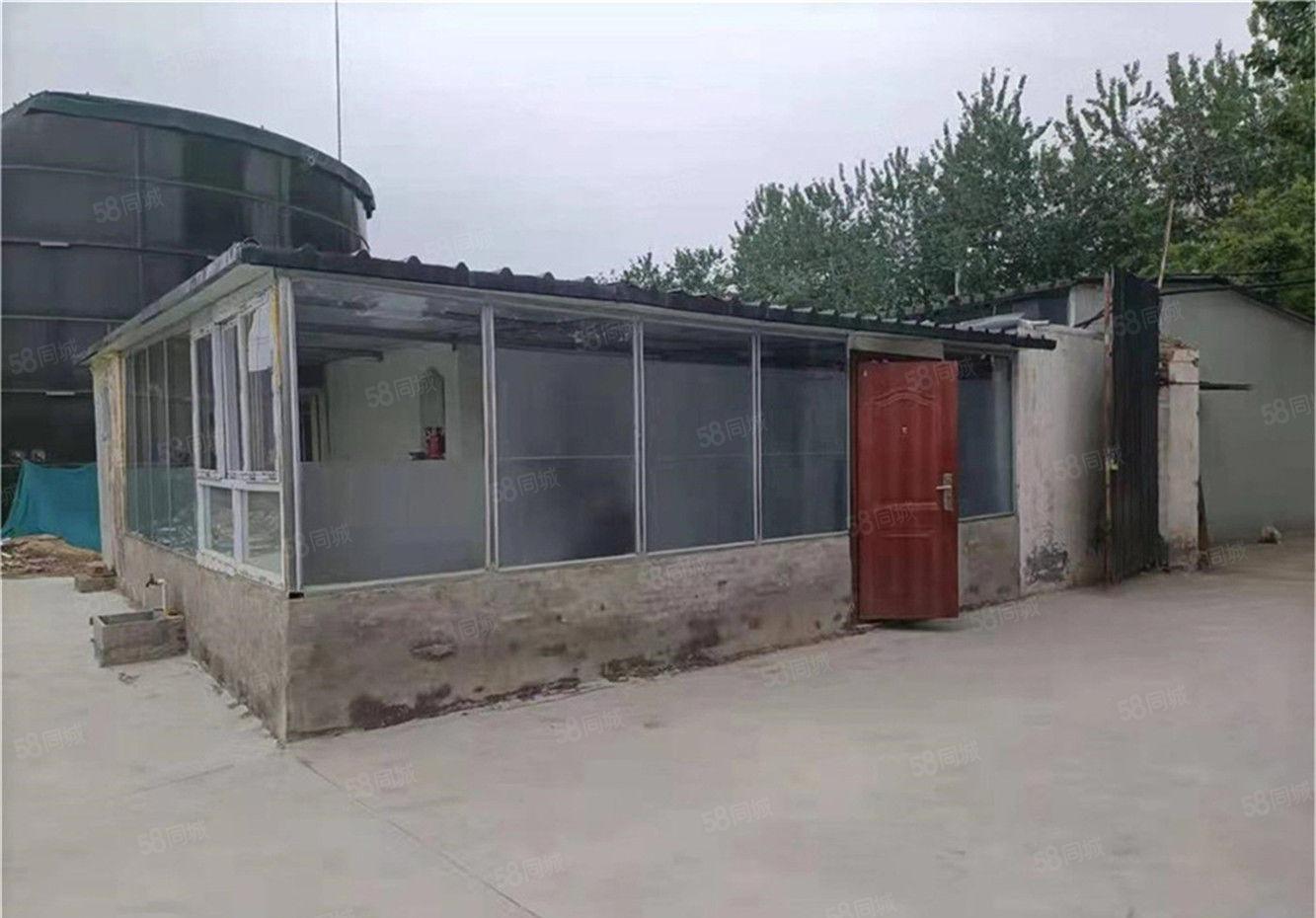 超大空地大朗独门独院钢构厂房仓库出租800方，可自建500方