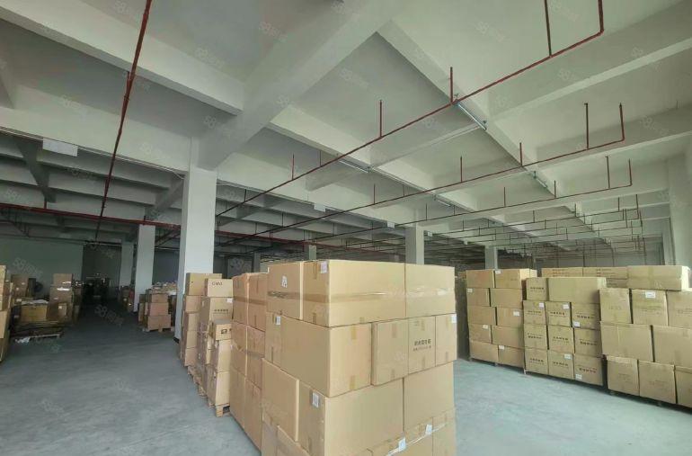 高速路口大朗镇水口原房东标准厂房单层10000平实际面积出租