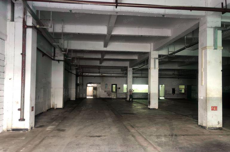 大朗洋乌工业区新出标准一楼1450平方，高度6米