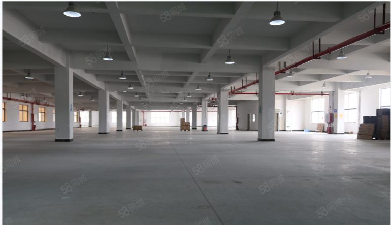 东莞 大朗 原房东 1000平 全新厂房出租