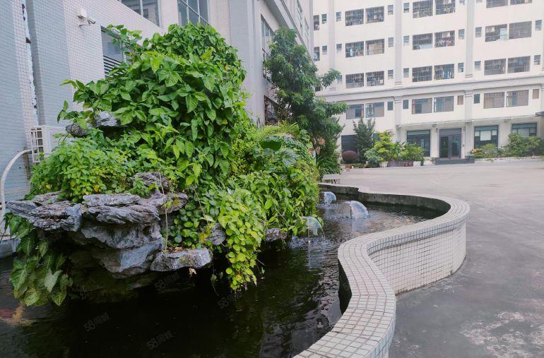 大朗原房东象山工业城分租楼上5800平 1000平起分