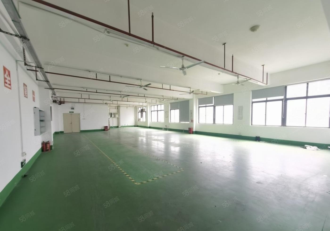 大朗工业厂房出租5楼1200方，地坪漆带货梯，空地大交通便利