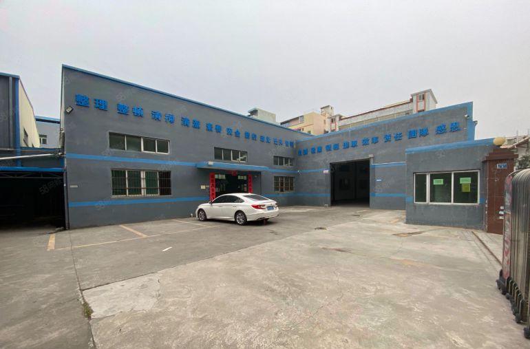 大朗镇新出独院单一层厂房总面积2700平带办公室装修