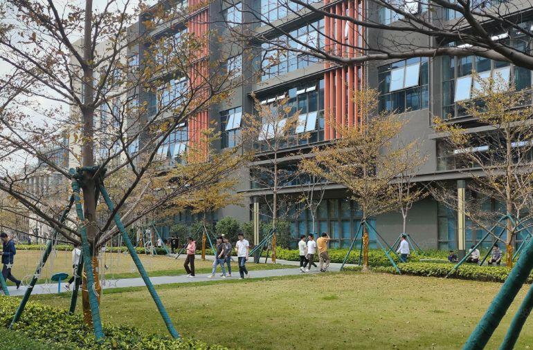 大朗镇新标杆花园式厂房，实际面积10元， 原房东自建国有双证