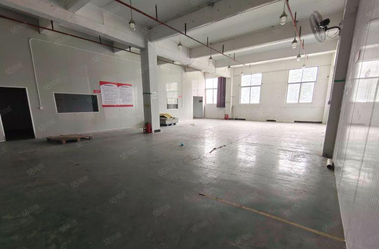 大朗原房东厂房招租 270平 格局方正 层高4.5米 地坪漆