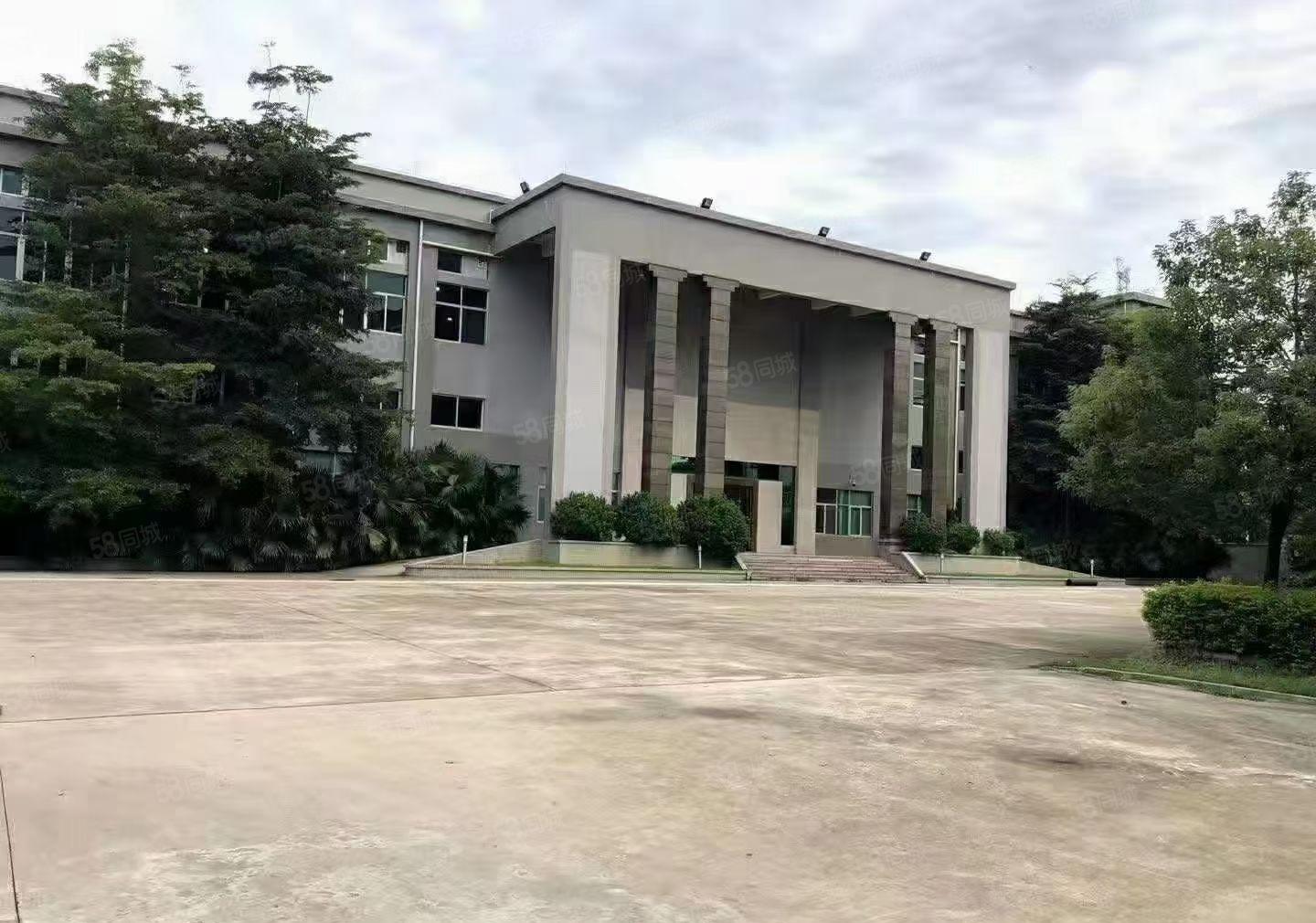 大朗镇新出花园式独院二层厂房13000平方宿舍2千空地3千平