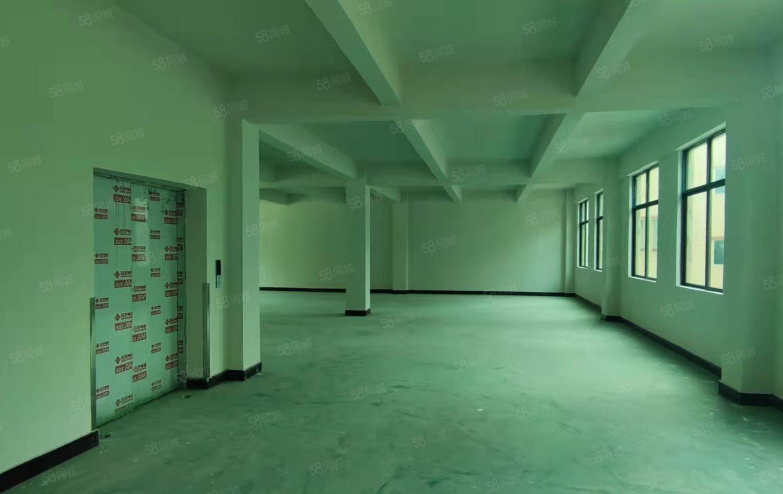 大朗竹山原房东独栋厂房出租，交通方便价格低