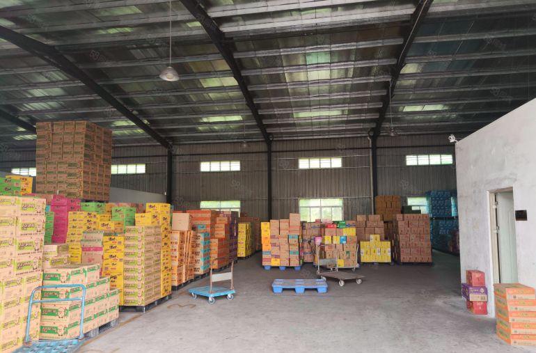 大朗钢构1200平原房东，价格便宜，空地很大，好进大车