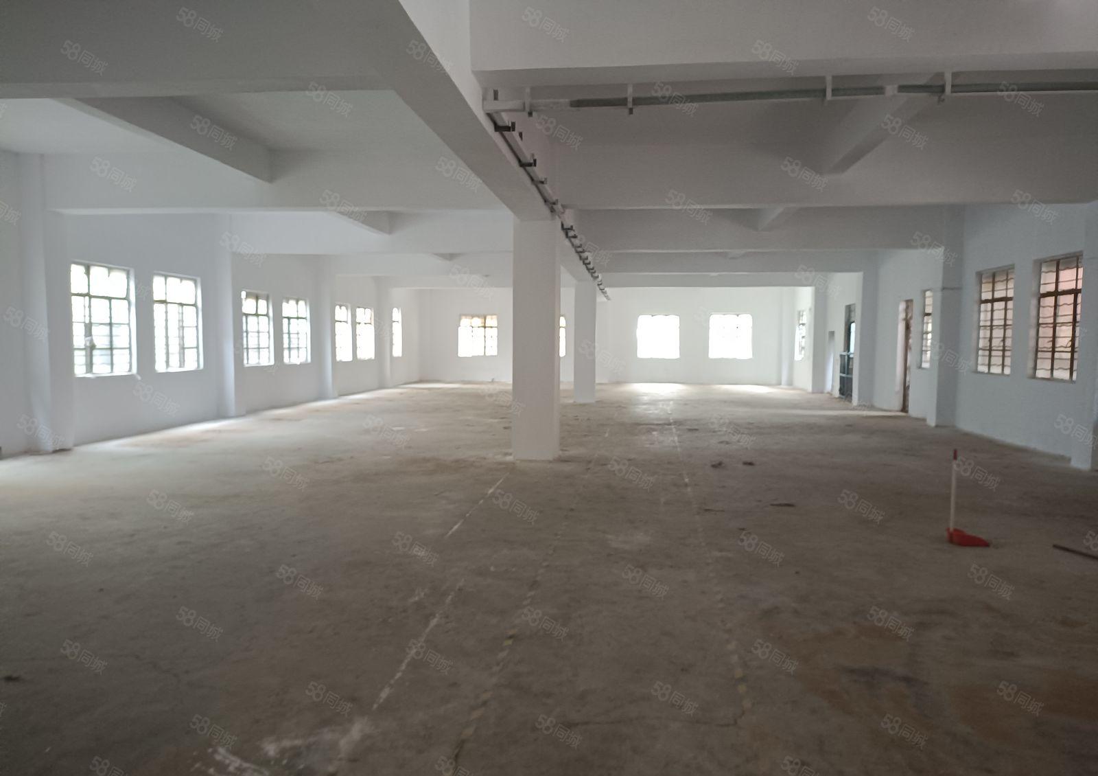 原房东小面积独门独户厂房直租。