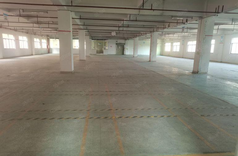 大朗镇松木山附近原房东9800平红本标准独院厂房实际面积出租