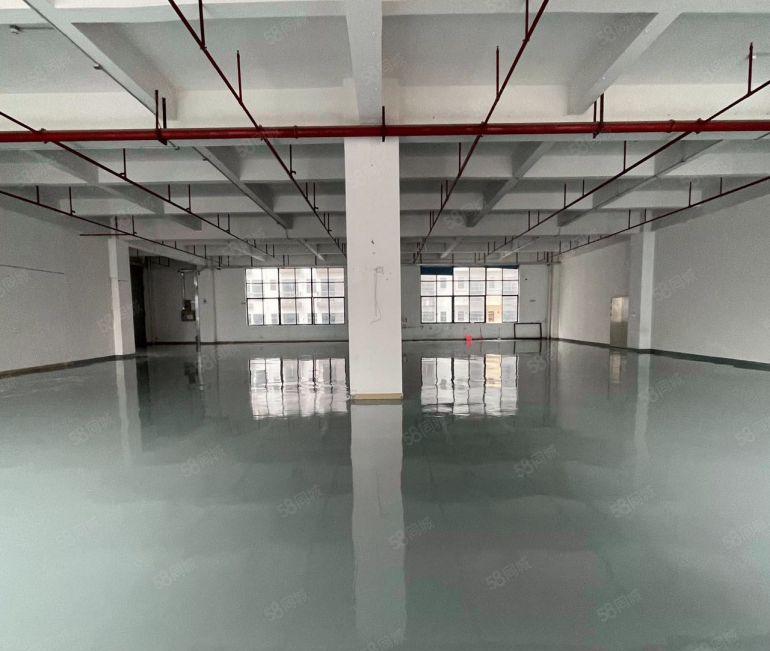 大朗镇全新地坪漆以及精装修办公室