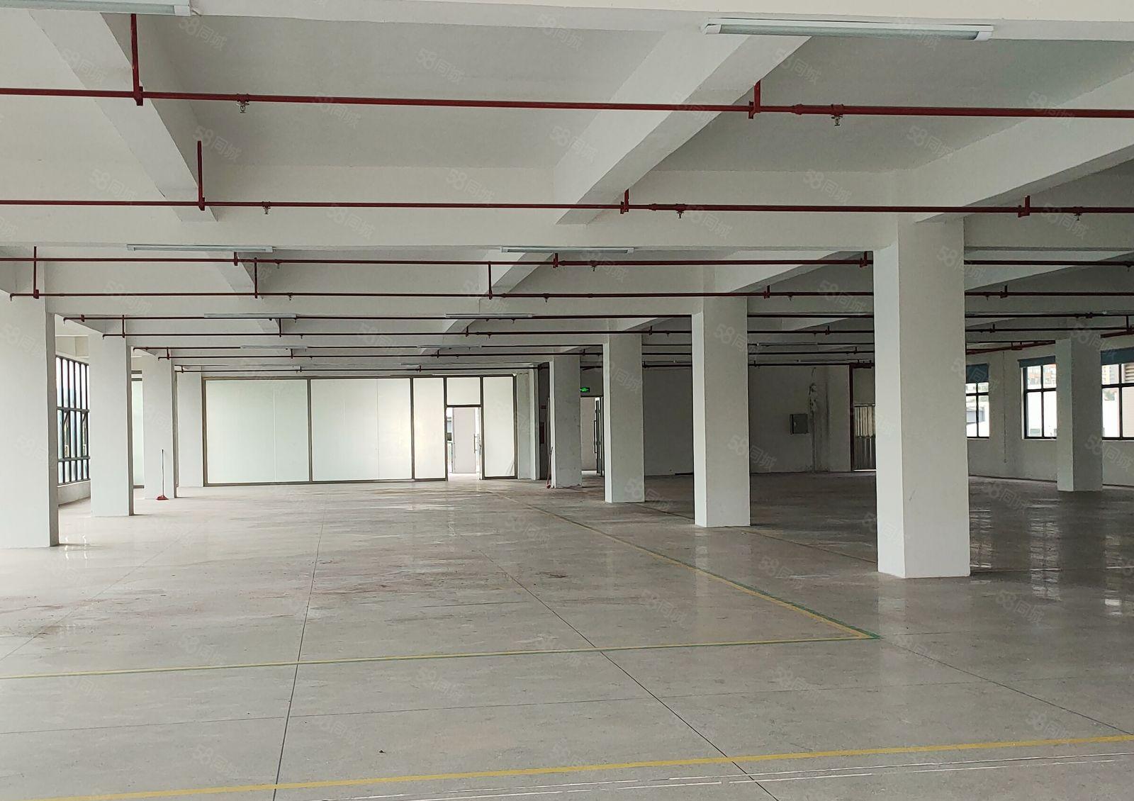 大朗新出高速路口下1500厂房带现成精装修，现低价出租，