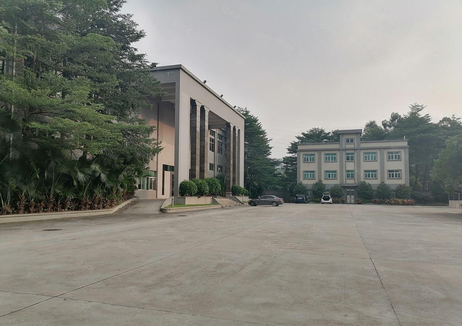 大朗镇新出原房东一手厂房，一楼层高八米，工业用地可以办环评