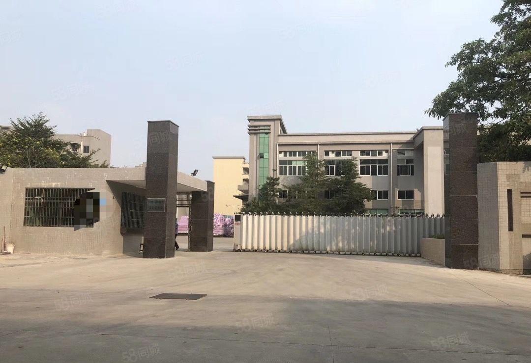 大朗象山工业城厂房出租8000平独门独院厂房12层带装修