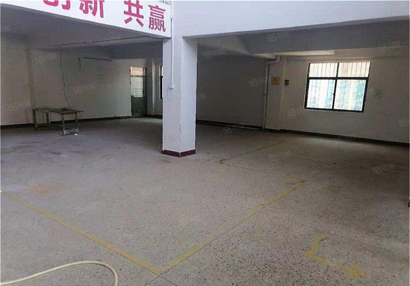 大朗原房东仓库钢构厂房出租单一层950平方，送小阁楼办公室