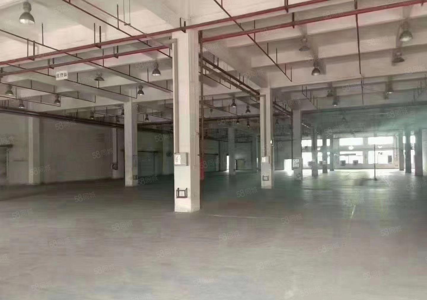 大朗镇新出花园式独院二层厂房13000平方宿舍2千空地3千平